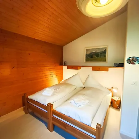 Bodmi On The - Aare Jungfrau Ag * Γκρίντελβαλντ