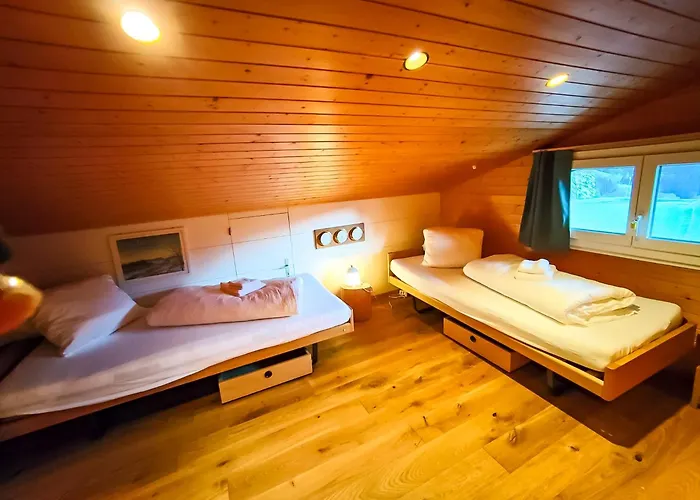 Bodmi On The - Aare Jungfrau Ag *