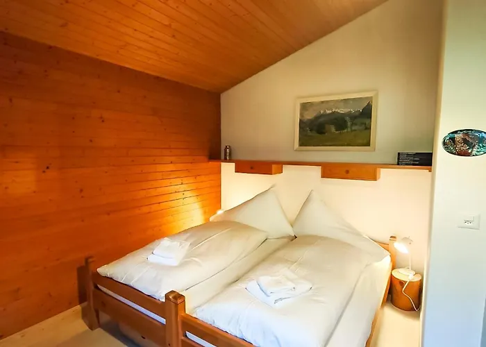 Bodmi On The - Aare Jungfrau Ag * Grindelwald