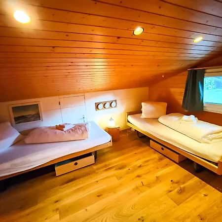 Bodmi On The - Aare Jungfrau Ag *